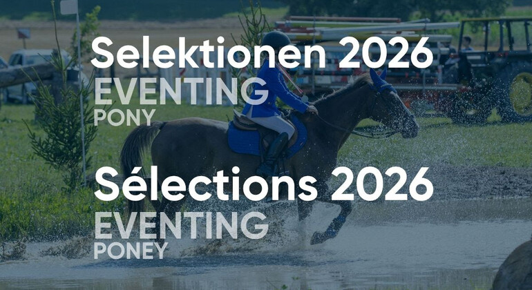 La sélection pour les Européens poneys est connue